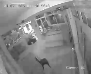 Caméra IP - Italien