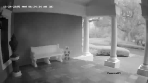 Caméra IP - United States of America