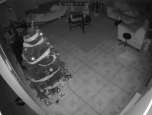 Caméra IP - United States of America