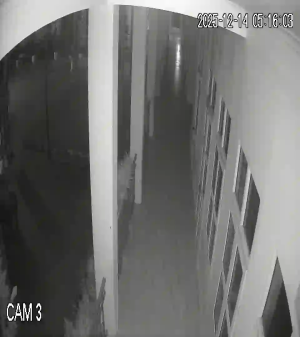 Caméra IP - Vietnam