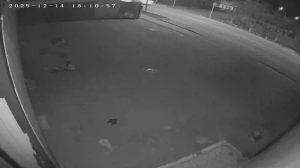 Caméra IP - Russian Federation