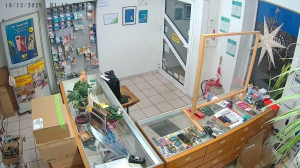 Caméra IP - Germany