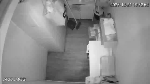 Caméra IP - Portugal