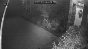 Caméra IP - United States of America