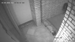 Caméra IP - États-Unis d'Amérique