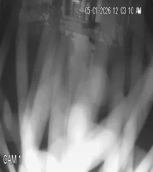 Caméra IP - Bangladesh