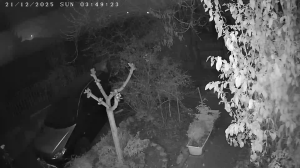 Caméra IP - Nordmazedonien