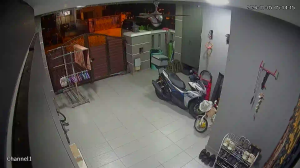 Caméra IP - Malaisie