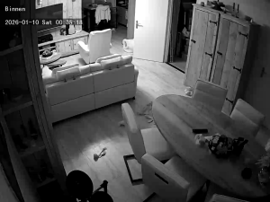 Caméra IP - Paesi Bassi