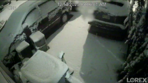 Caméra IP - United States of America