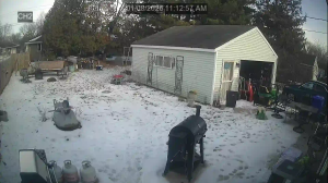 Caméra IP - Vereinigte Staaten von Amerika