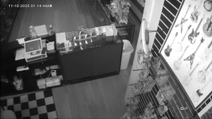 Caméra IP - United States of America