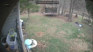 Caméra IP - États-Unis d'Amérique