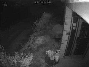 Caméra IP - República de Corea