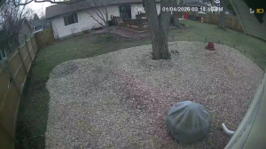 Caméra IP - États-Unis d'Amérique