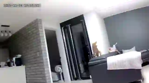 Caméra IP - Südkorea