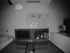 Caméra IP - South Korea