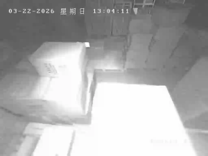 Caméra IP - Hongkong