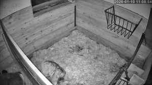 Caméra IP - Österreich