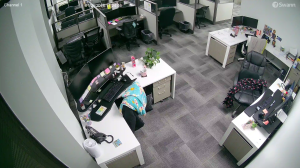 Caméra IP - États-Unis d'Amérique