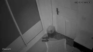 Caméra IP - Algerien