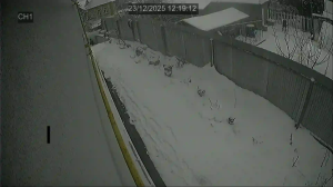 Caméra IP - Russian Federation