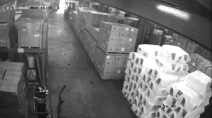 Caméra IP - Malaysia