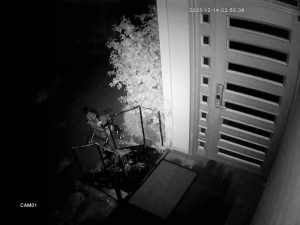 Caméra IP - South Korea