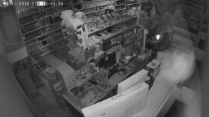 Caméra IP - Pologne