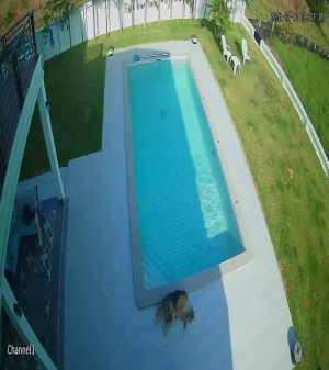 Caméra IP - Thailand