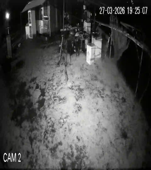 Caméra IP - Bulgaria