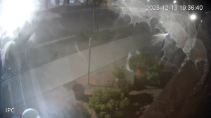 Caméra IP - United States of America