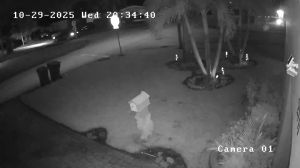 Caméra IP - Stati Uniti d'America