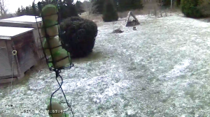 Caméra IP - Estonia