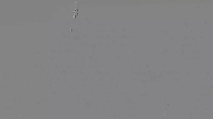 Caméra IP - Netherlands