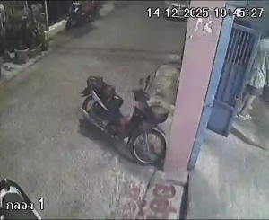 Caméra IP - Thailand