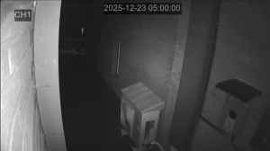 Caméra IP - South Korea