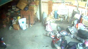 Caméra IP - Taiwán