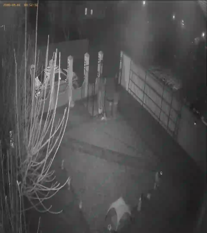 Caméra IP - Rumänien