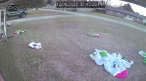 Caméra IP - Vereinigte Staaten von Amerika