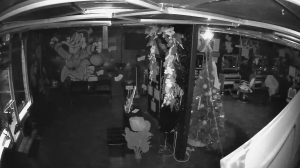 Caméra IP - United States of America