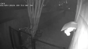 Caméra IP - United States of America