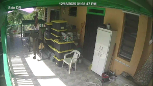 Caméra IP - Virgin Islands, U.S.