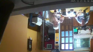 Caméra IP - Argentine