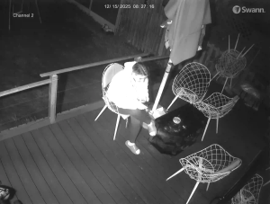 Caméra IP - Royaume-Uni