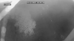 Caméra IP - Reino Unido