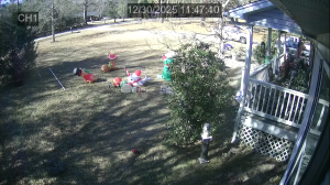 Caméra IP - Stati Uniti d'America