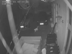 Caméra IP - Dänemark