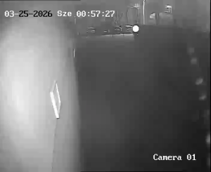 Caméra IP - Hungary