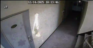 Caméra IP - Corée du Sud